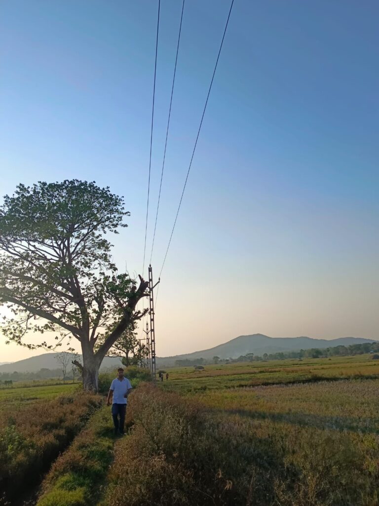 TPSODL commissions new 33 kV line benefiting 34000 Consumers